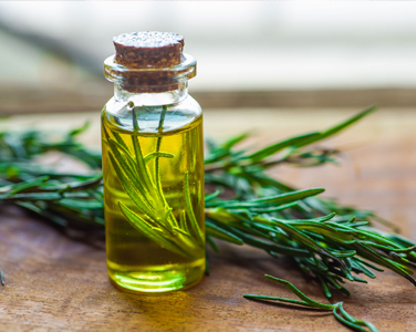 Rosemary Oil